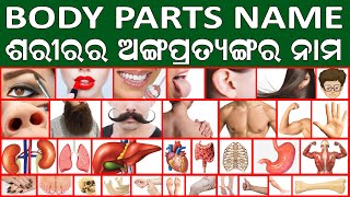 Body Parts Name in English to Odia || Body Parts Name with Pictures || Learn English through Odia 👄💪 screenshot 2
