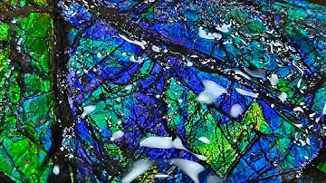 How to make Ammolite Gemstones with Fossil Dad 2023: Part 2, Flat Lap.