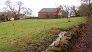 EL CAMINO EN BACURÍN (LUGO, GALICIA)