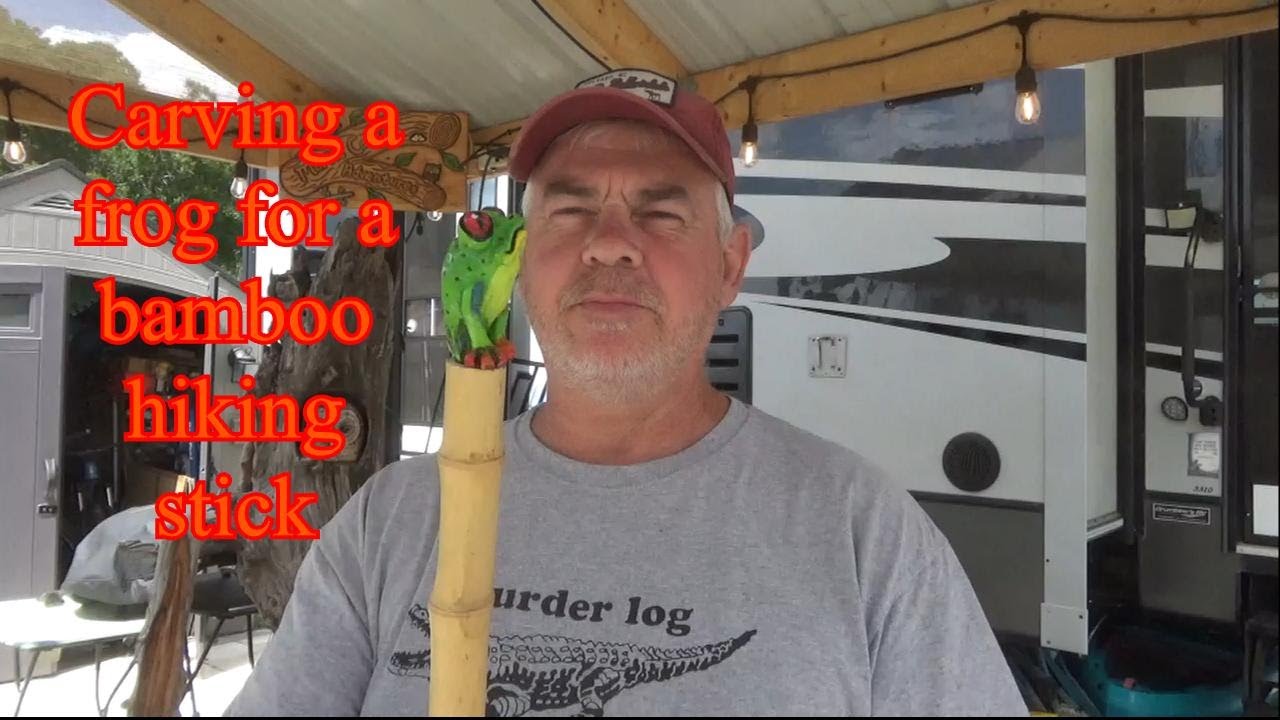 Frog stuck in a stick