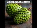 Medical Benefits Of Soursop #shorts