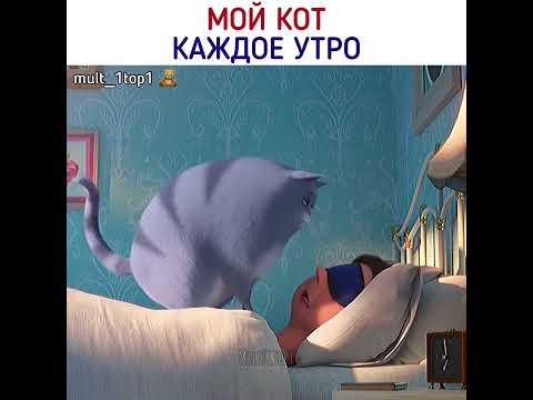 У вас есть домашний питомец ? 🥰 #shorts #тайнаяжизньдомашнихживотных2