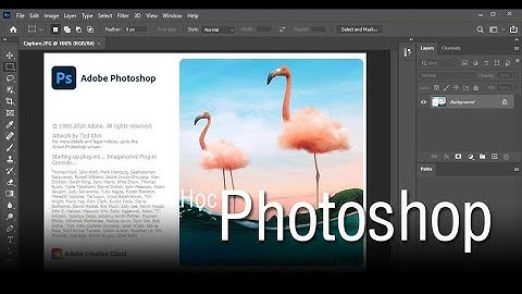 Bài 1 photoshop | Làm quen công cụ Photoshop | Học Photoshop