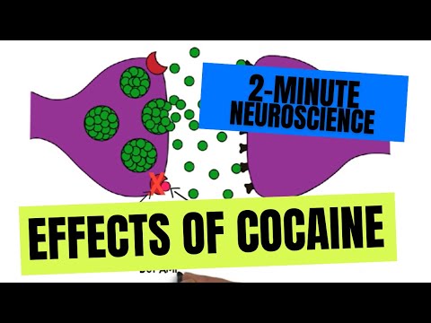 Video: Cocaine - Effects And Consequences