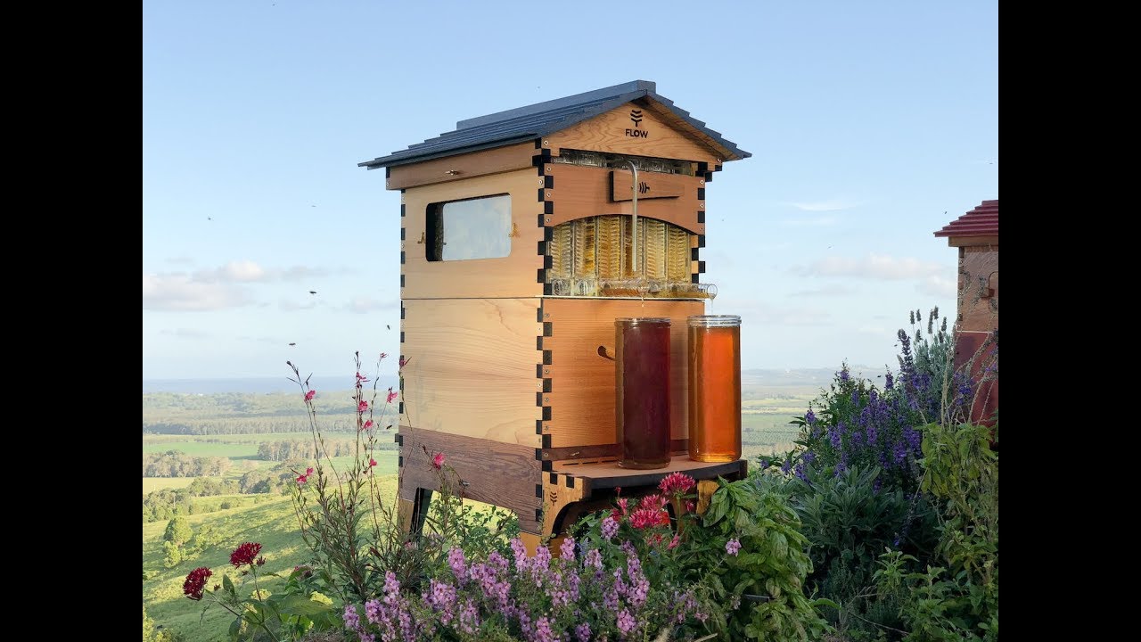 Flow Hive Honey On Tap From Your Own Beehive