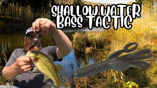 Bass Fishing Shallow Water With A Warthog