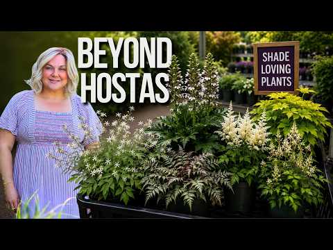12 Shade Plants to Grow Instead of Hostas | Shade Gardening
