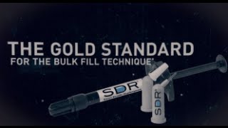 SDR - Image Video | Dentsply Sirona