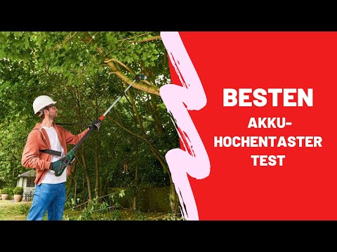 Video: Elektrische Garten-Hochentaster: Funktionen Von Teleskop-Ketten-Hochentaster, Ryobi Und Greenworks, Lux-Tools Und Zigzag-Funktionen