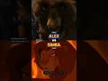 Alex Vs Simba Remake Edit