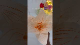 Graceful Soft Orange Lily Made with Tissue Paper 🌸