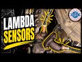 MG ZS 2024 Petrol 1.5 (1498cc) Lambda Sensor Locations