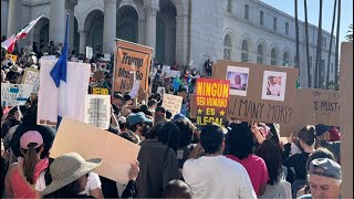 DOWNTOWN LOS ANGELES ICE DEMONSTRATION 🧊 Pt. 2