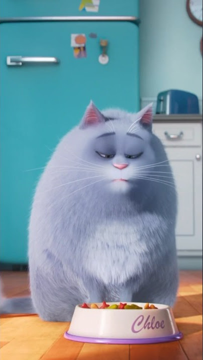 Thanks, I hate it | 🎬 The Secret Life of Pets (2016)