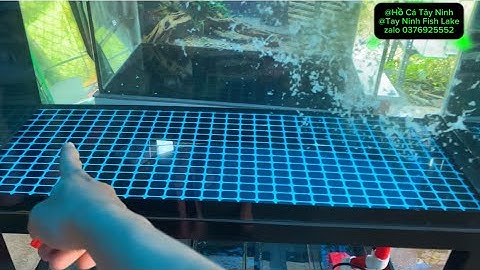 Riview Hồ Công Nghệ 4 Lớp Đáy Hút Thổi Toàn Hồ , Nguyên Lý Vận Hành Và Ngắt Chống Tràn An Toàn