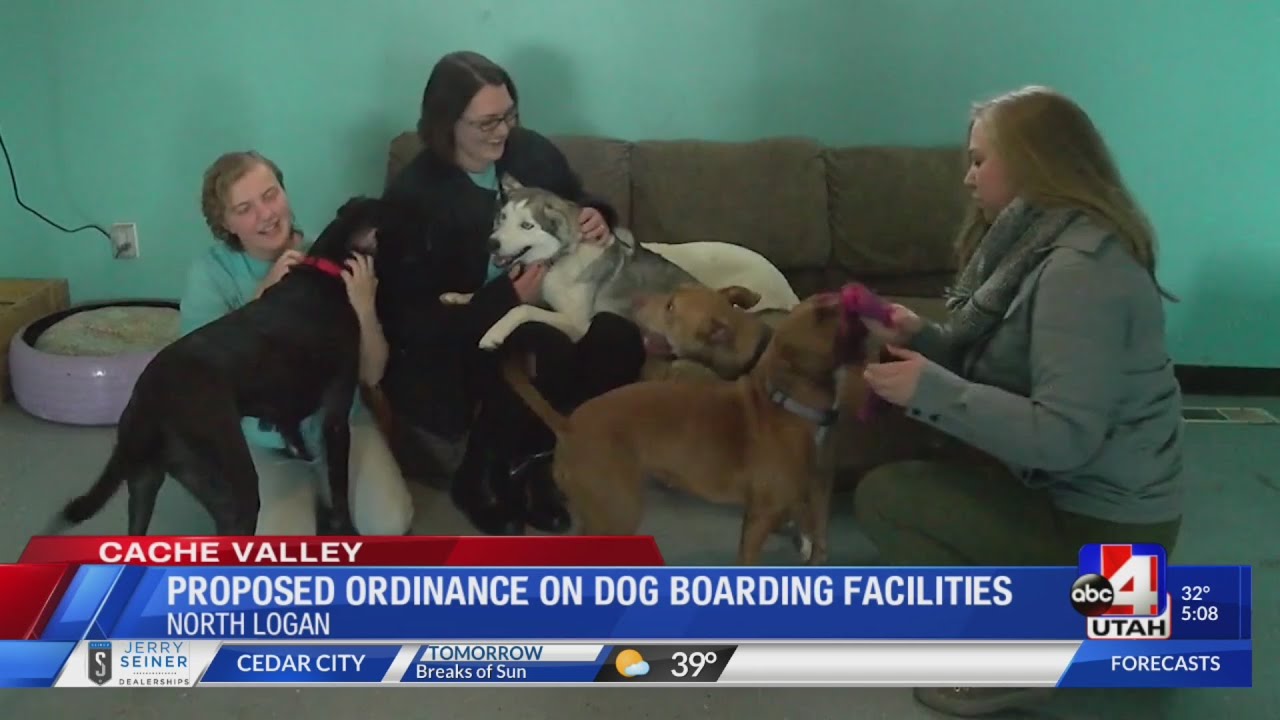 Proposed ordinance could shut down North Logan's only dog boarding