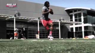 2012 Big 12 Athlete of the Year Nominee - Robert Griffin III Guide