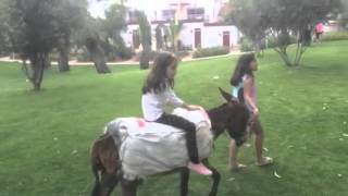 Chloe Cub Med 4