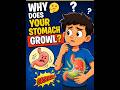 Why Does Your Stomach Growl ?🤔 | #shorts #stomach #tranding