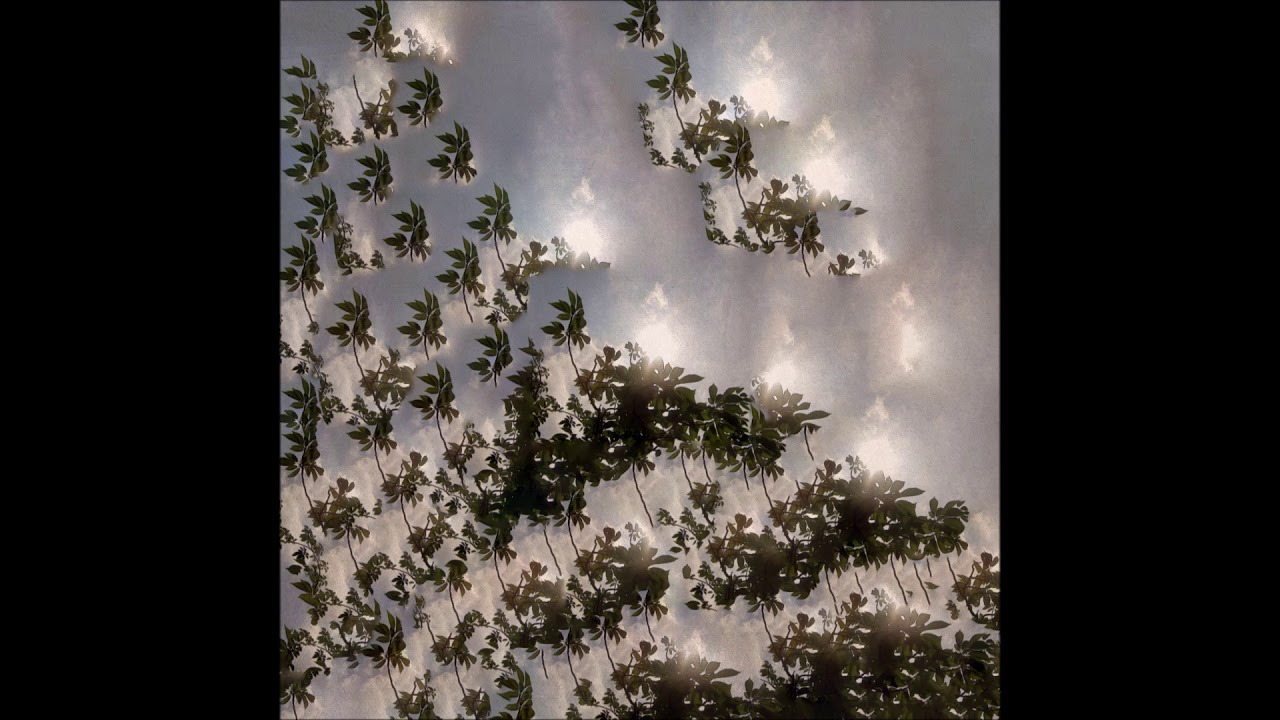 Amplidyne Effect – Gloria on Canvas (LP)