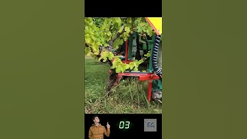 Brush Machine Clears Weeds Without Damaging Trees! 🌳🚜 Precision Farming Innovation | Shorts