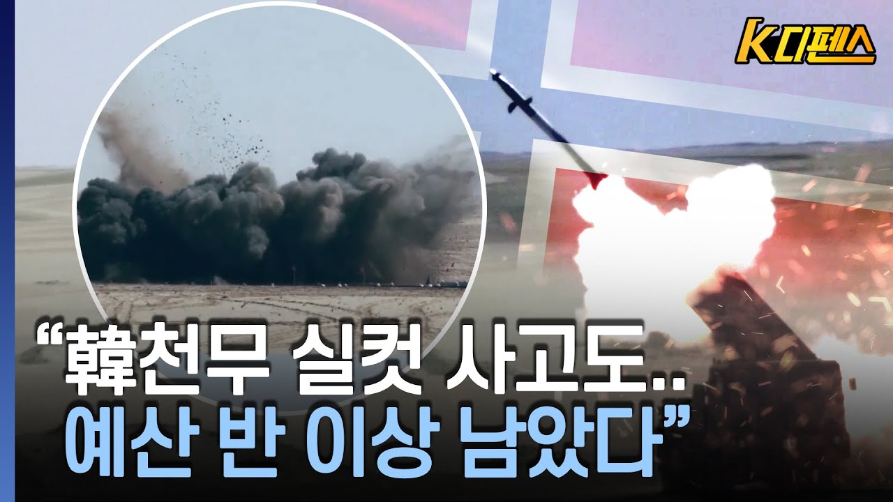 [K디펜스] 노르웨이 '꿩먹고 알먹기' 가성비 만점 / 머니투데이방송