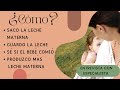Sofía Díaz TV  - ¿Cómo puedo producir más leche materna? ¿Cómo la extraigo? ¿Cómo la guardo?