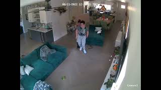 Catching Levon with his Drop Support Harness!!