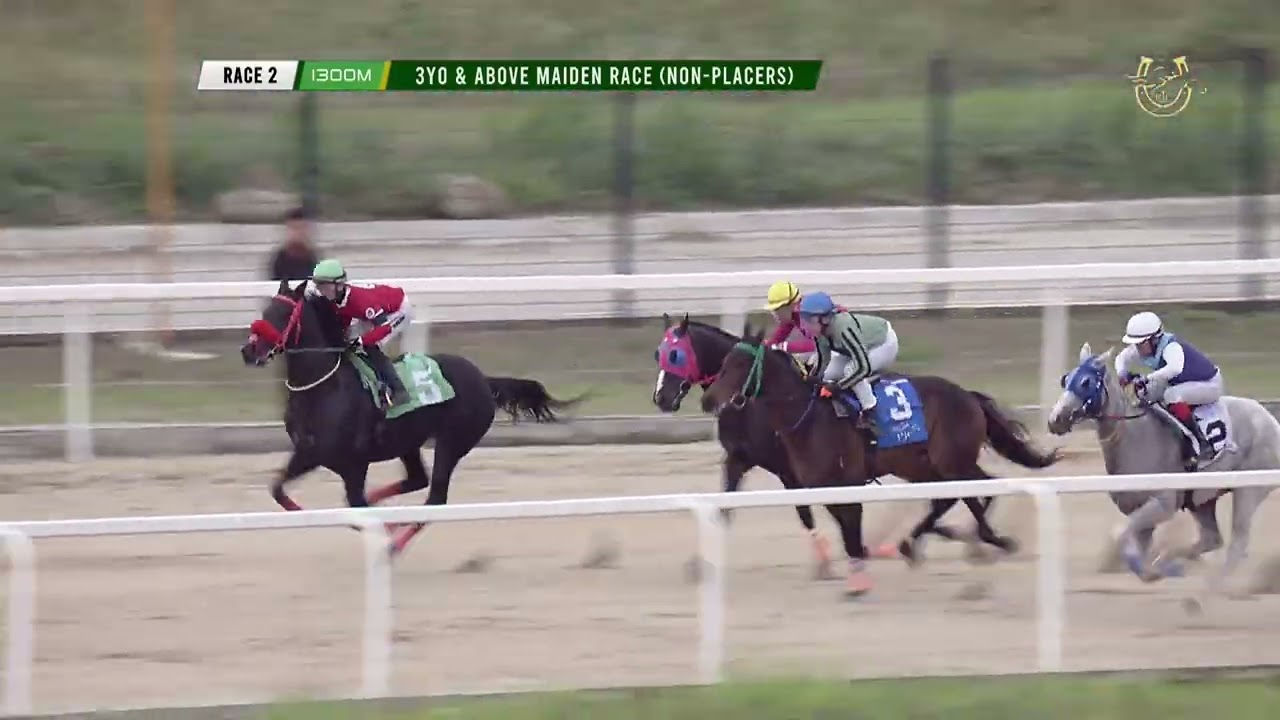 17JAN2026 - Race 2: 3YO & ABOVE MAIDEN RACE (NON-PLACERS) (1300m)