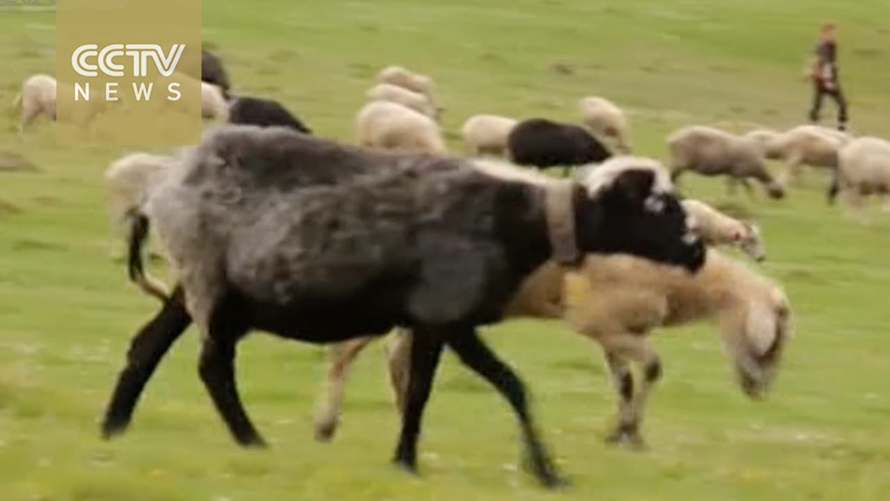 Traditional weaving helps villagers keep warm