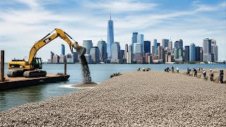 New York Released 130 Million Oysters Into The Harbor – The 10-Year Result Shocked The World