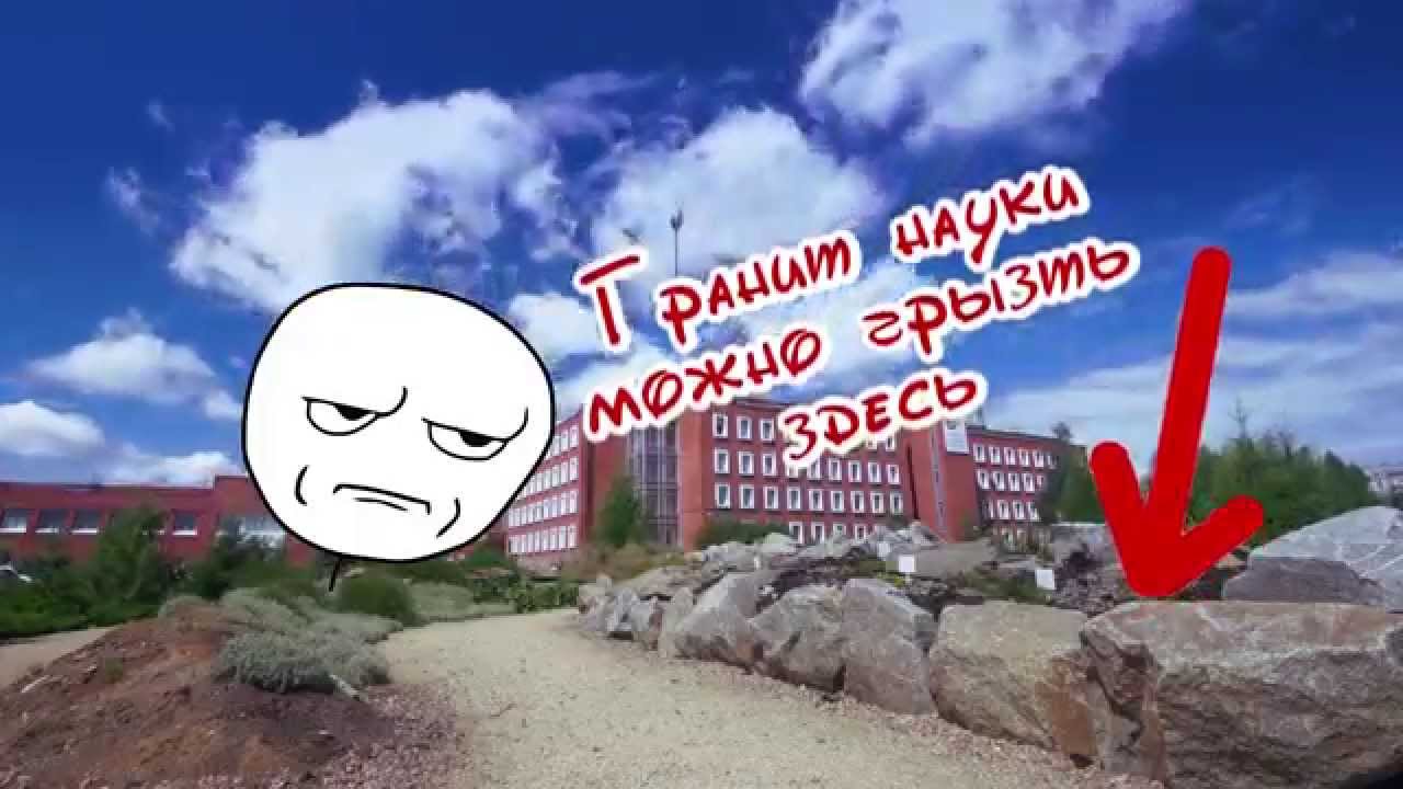 Где лучше осаго рейтинг