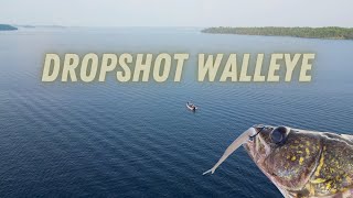 Dropshot Walleye