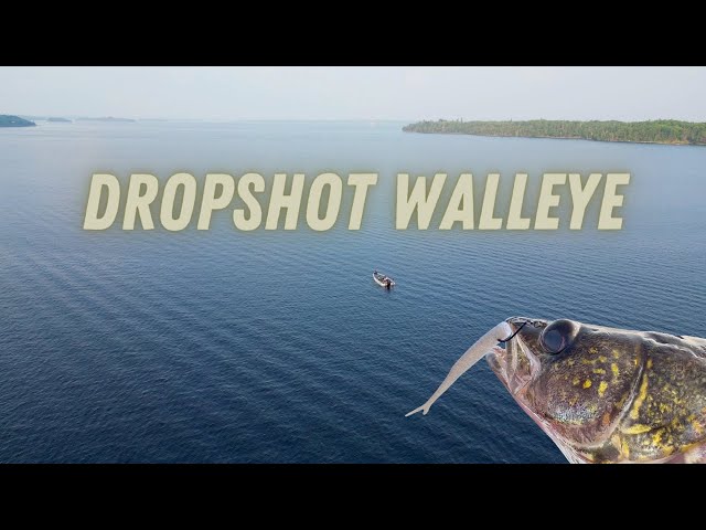 Dropshot Walleye 