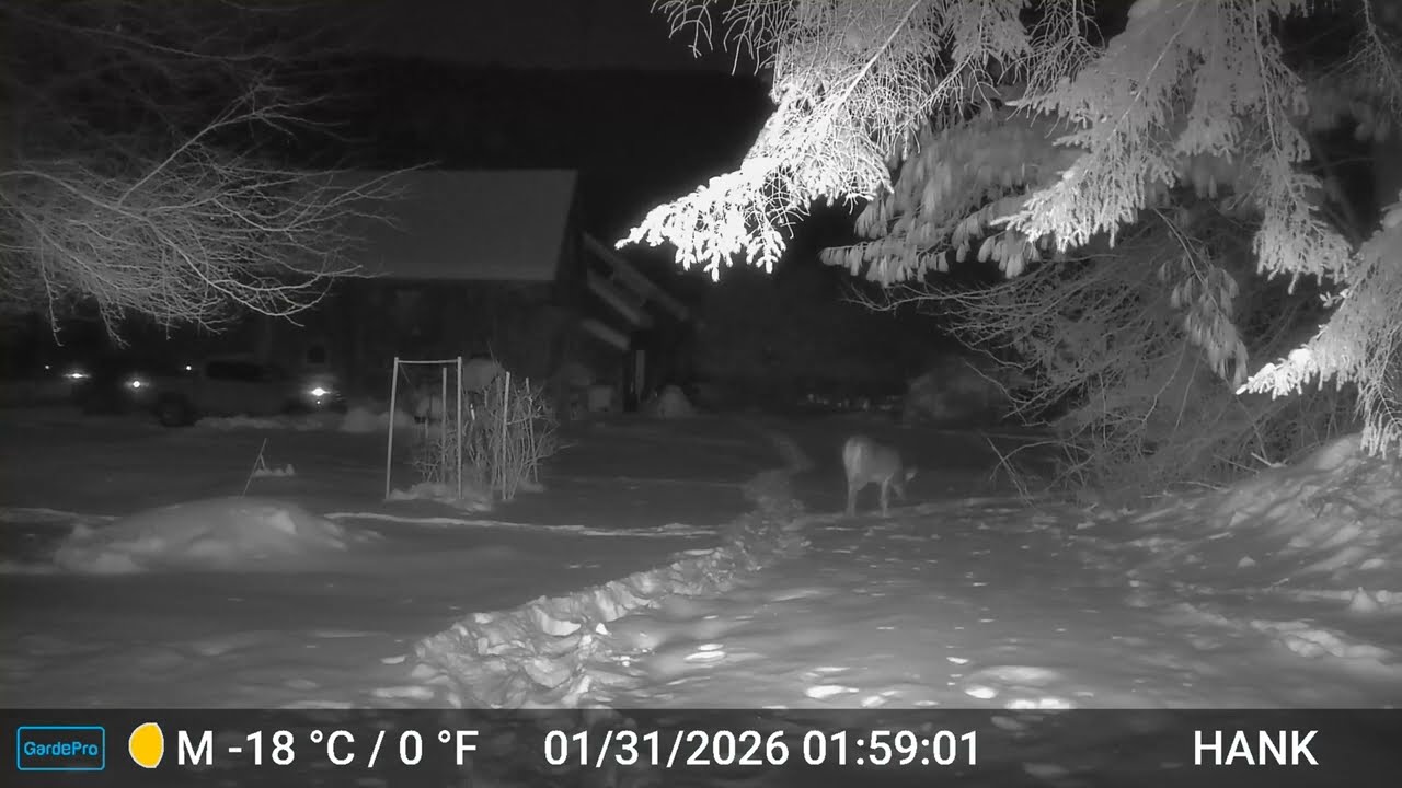 Homestead Dooryard (Clear blue skies)