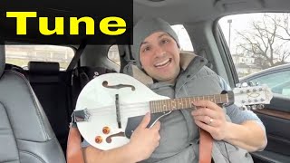 How To Tune A Mandolin-Full Tutorial screenshot 3