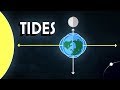 Unraveling Tides and Gravitational Forces in Our Universe