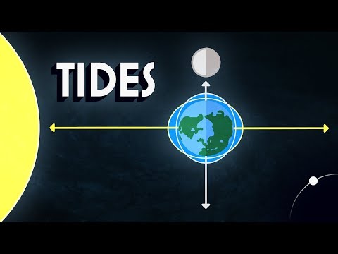 Video: The Edge Of The Tides