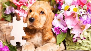 Life Of Pets - Solving Puzzles With Magic Jigsaw Puzzles Game Video