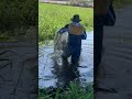 Amezing Fishing  , catching crabs and fishes , hunting in forest  amezing fishing by net