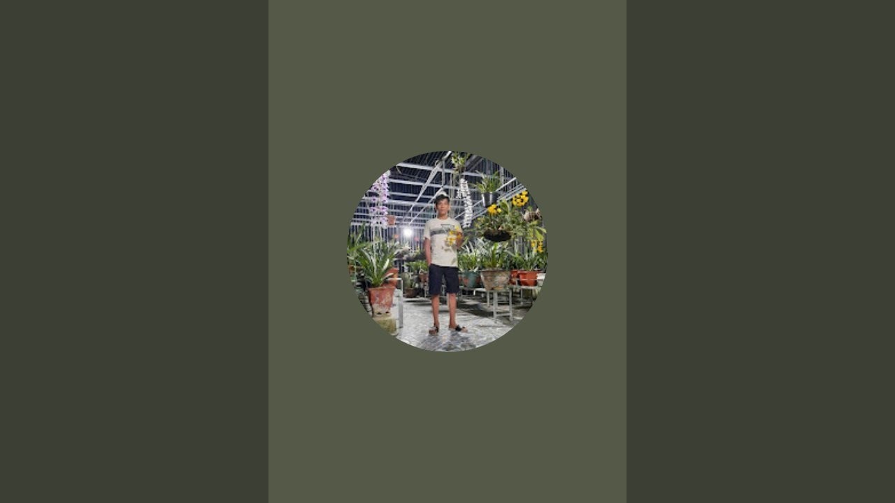 Phong Lan Luân Thảo đang phát trực tiếp!