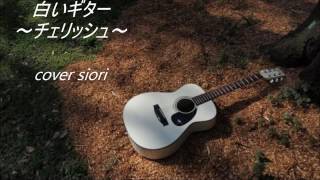 白いギター～チェリッシュ～cover