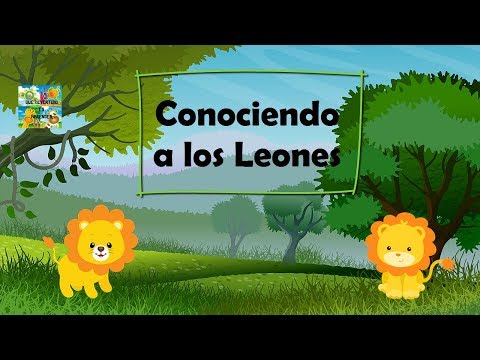 Video: Donde Viven Los Leones