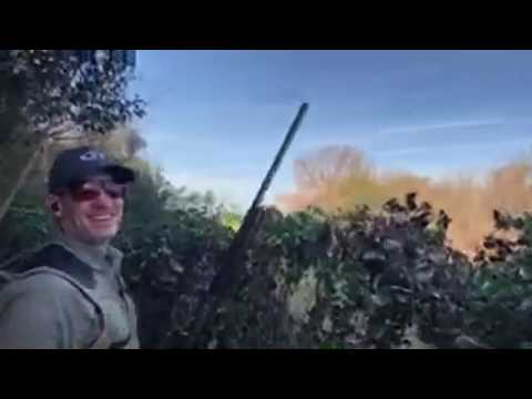 Checking In From An Argentina Dove Blind | Gun Talk LIVE