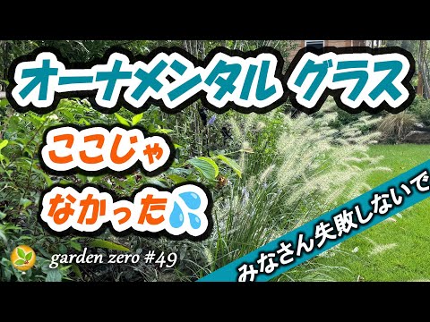 観賞用グラスおすすめ7選！育て方と選び方のコツをプロが解説