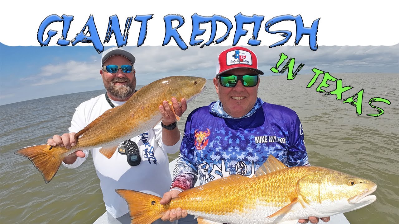 captain-showtimes-fishes-galveston-for-open-water-schools-of-redfish
