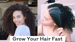 DO THIS IF YOUR HAIR WON'T GROW FOR GUARANTEED HAIR GROWTH| GROW LONGER THICKER HAIR TO WAIST LENGTH
