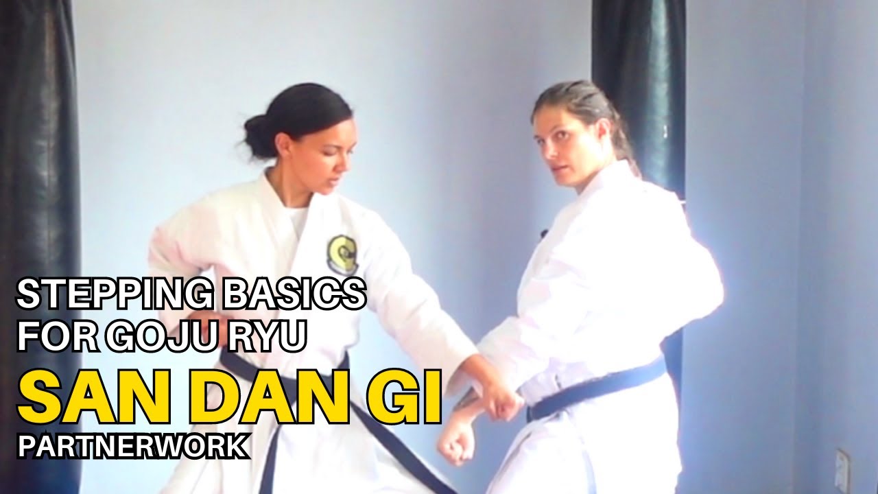 San Dan Gi: Stepping Better for Goju Ryu