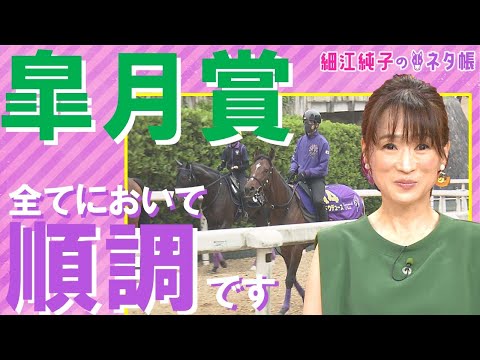 「すべてにおいて順調に来ているのは、この馬」超ハイレベルの皐月賞ここだけの陣営情報【細江純子のネタ帳 #9 《皐月賞》】