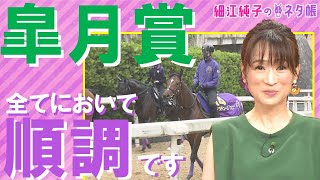 「すべてにおいて順調に来ているのは、この馬」超ハイレベルの皐月賞ここだけの陣営情報【細江純子のネタ帳 #9 《皐月賞》】